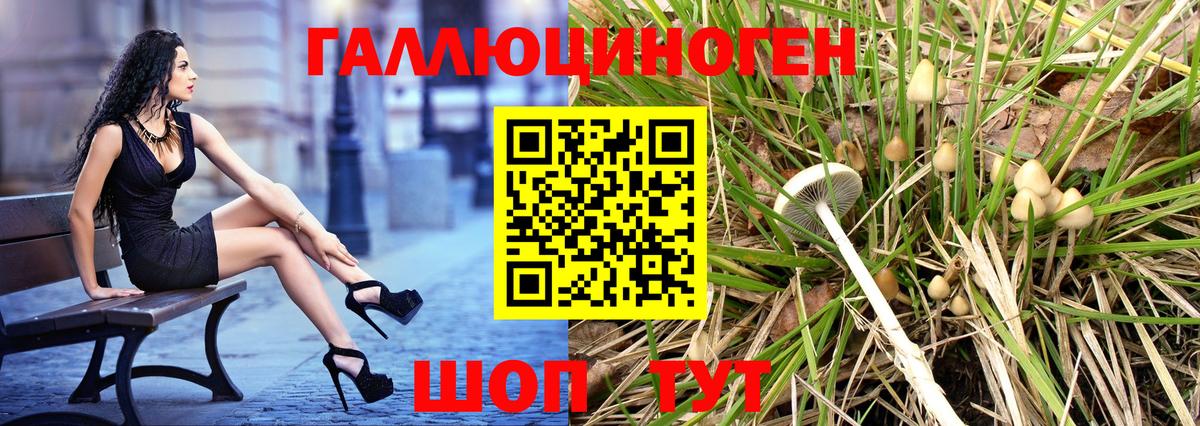 Дивногорск  Псилоцибиновые грибы Cubensis  Вход с VPN 